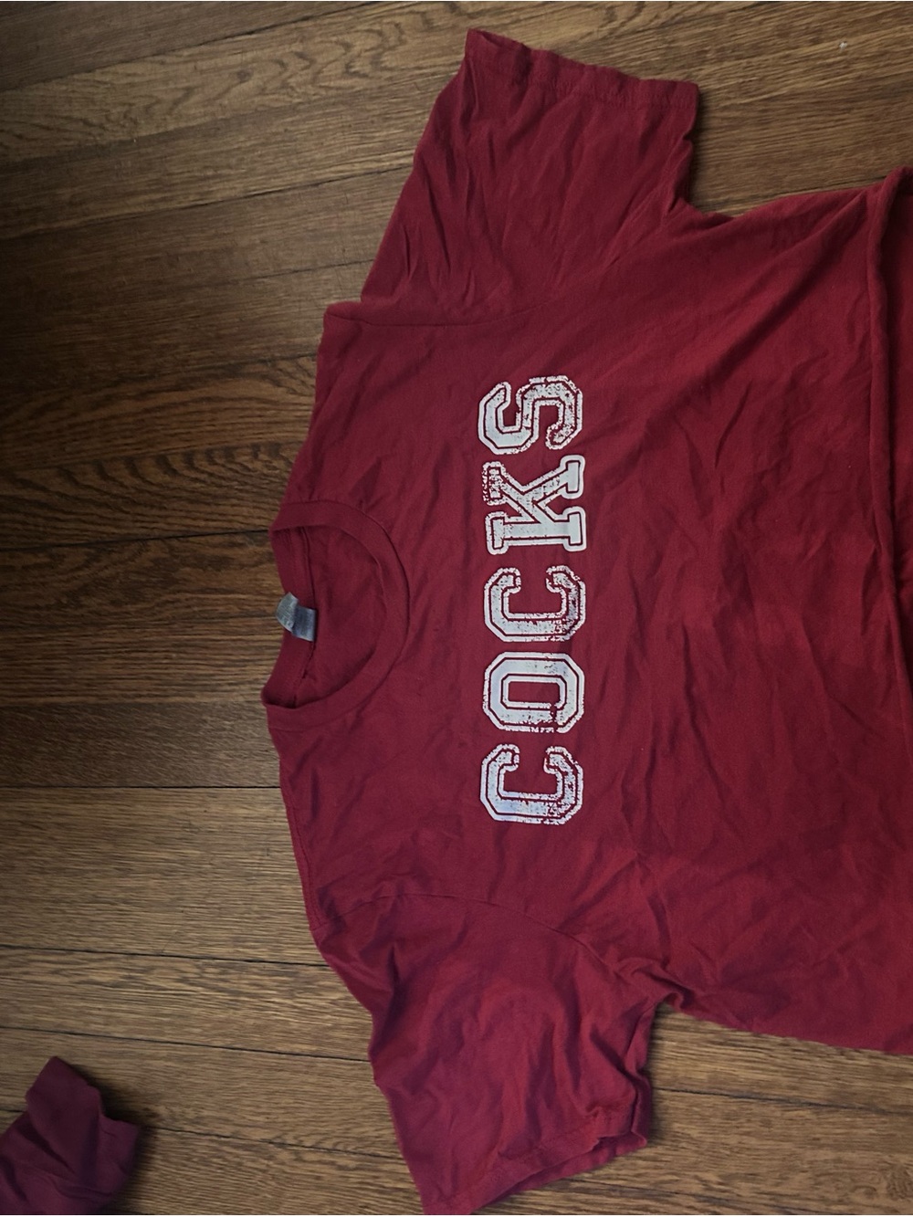 UOFSC  shirt / Gameday
